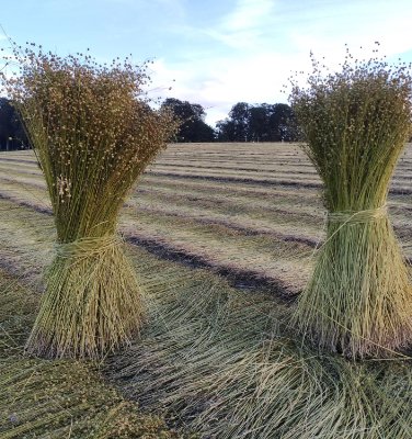 De la tradition à la transition de l’agriculture