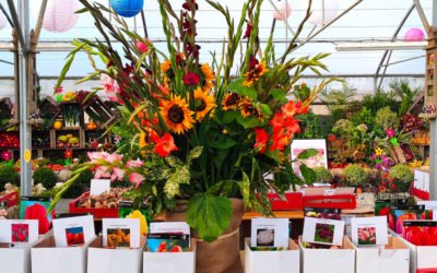 Fête de la Saint-Fiacre : florale, festive et spirituelle